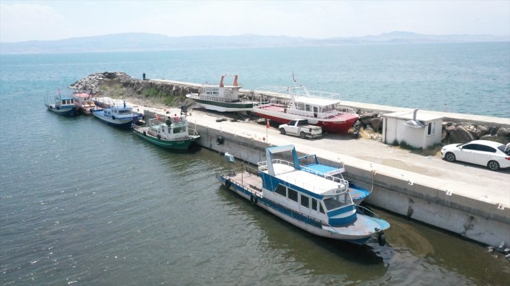 Van Gölü'nde balık göçü tamamlandı, av yasağı kalkıyor