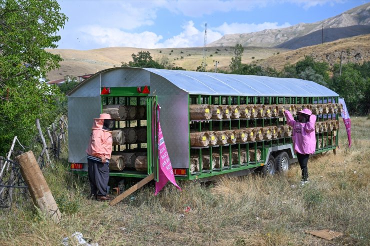 Vanlı "pembe maskeli" kadın arıcılara kovan desteği