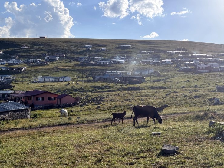 Ardahan'daki yayla evlerinde yaşayanlar odun kırıp soba yakıyor