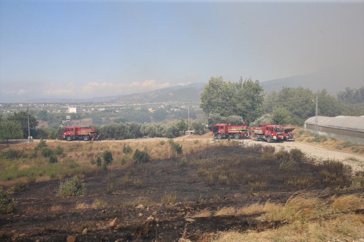 GÜNCELLEME - Hatay'da çıkan orman yangını kontrol altına alındı