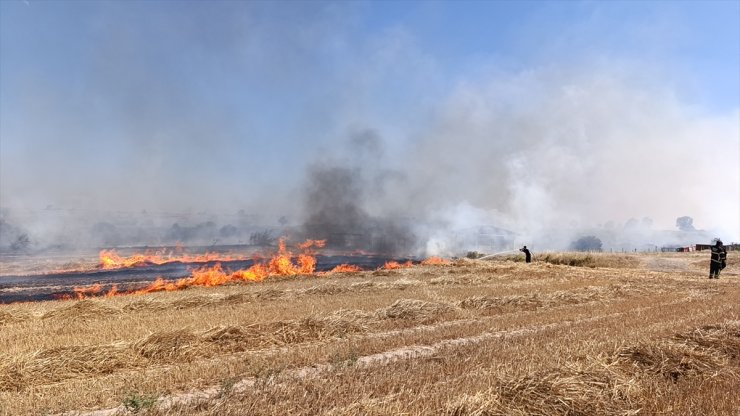 Tekirdağ'da çıkan anız yangını söndürüldü