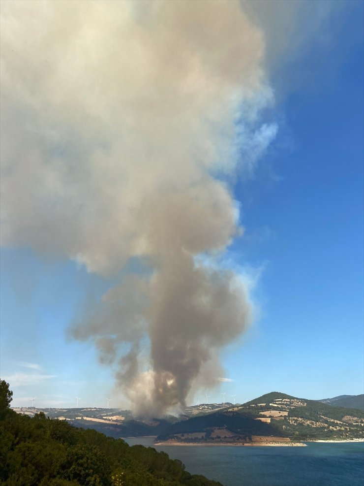 Çanakkale'de tarım arazisinde çıkıp ormanlık alana sıçrayan yangına müdahale ediliyor