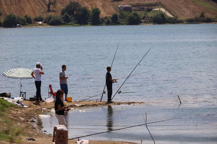 Kocaeli'de gölette avlanan istilacı tür yerine anaç aynalı ve pullu sazan salındı