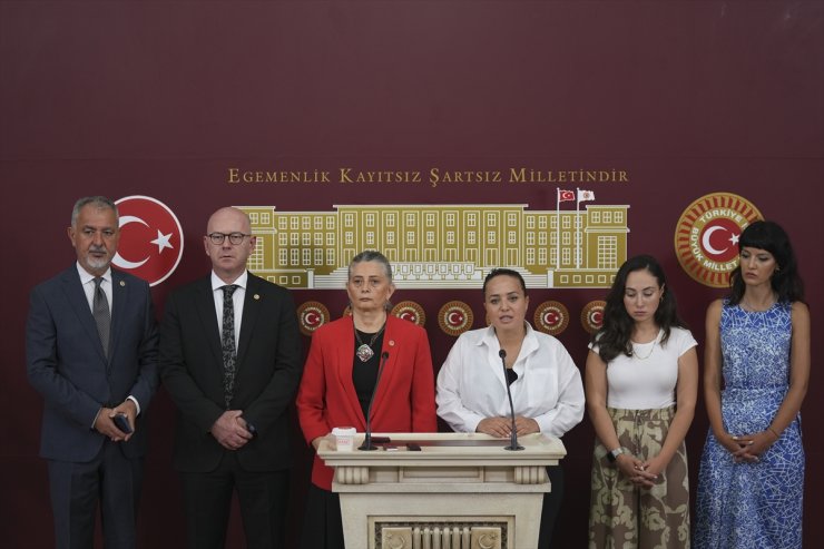 CHP'li Suiçmez, sahipsiz hayvanlara yönelik kanun teklifini eleştirdi