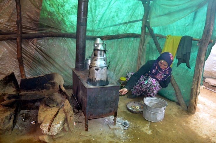 Muş'ta kadınların yayla mesaisi sürüyor