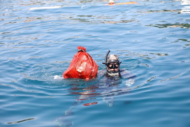 Bodrum'da deniz dibinden 219 kilogram atık çıkarıldı