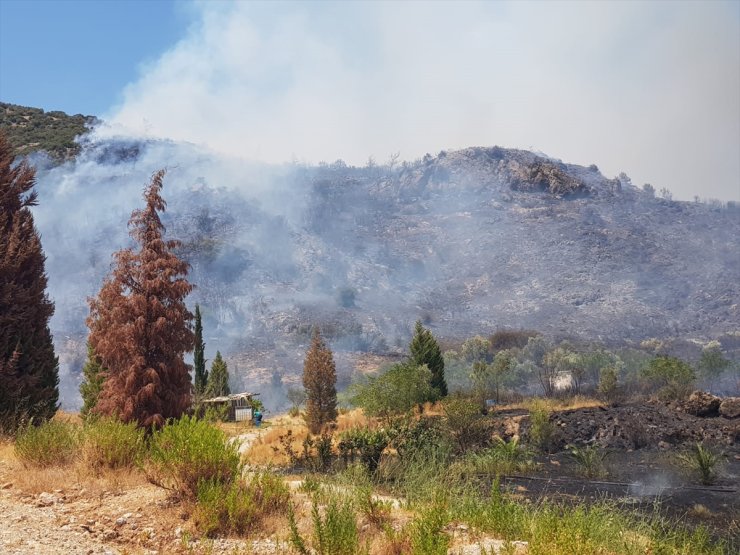 GÜNCELLEME - İzmir'de ormanlık alanda çıkan yangın kontrol altına alındı