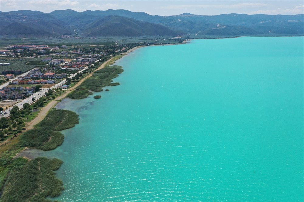 İznik Gölü alg patlamasıyla turkuaz görünüme kavuştu