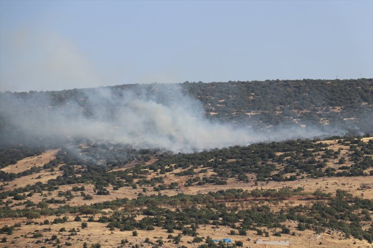 GÜNCELLEME - Kilis'te çıkan orman yangını söndürüldü