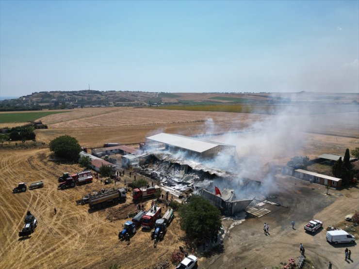 Tekirdağ'da bir çiftlikte çıkan yangında 15 bin saman balyası yandı