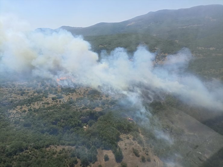 GÜNCELLEME - Bursa'da ormanlık alanda çıkan yangın kontrol altına alındı