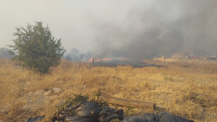 GÜNCELLEME - İzmir'in Foça ilçesinde orman yangını çıktı