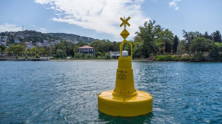 Marmara Denizi ve İstanbul Boğazı'ndaki deniz çayırları şamandıralarla korunacak