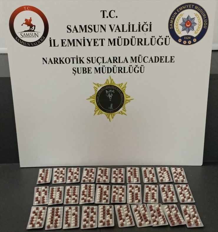 Samsun'da polisin denetimlerinde 19 şüpheli yakalandı