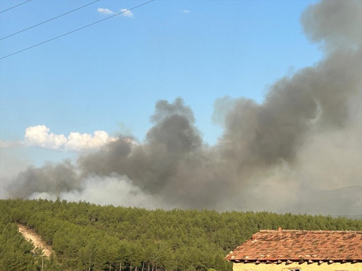 Uşak'ın Sivaslı ilçesinde çıkan orman yangınına müdahale ediliyor