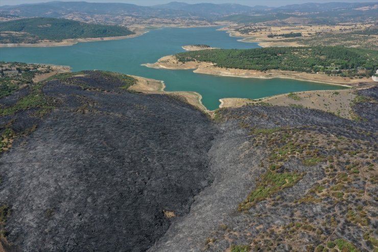 Balıkesir'de orman yangınına neden olduğu öne sürülen şüpheli tutuklandı