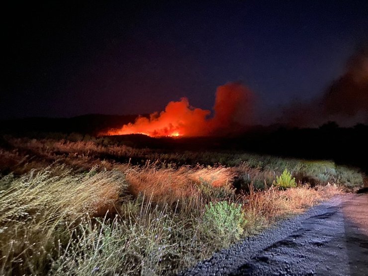 Çanakkale'nin Ayvacık ilçesinde çıkan orman yangınına müdahale ediliyor