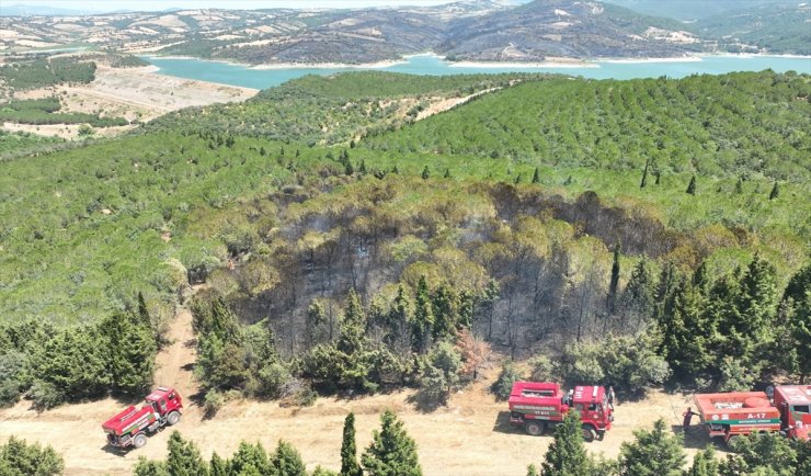 Çanakkale'nin Bayramiç ilçesinde çıkan orman yangınına müdahale ediliyor