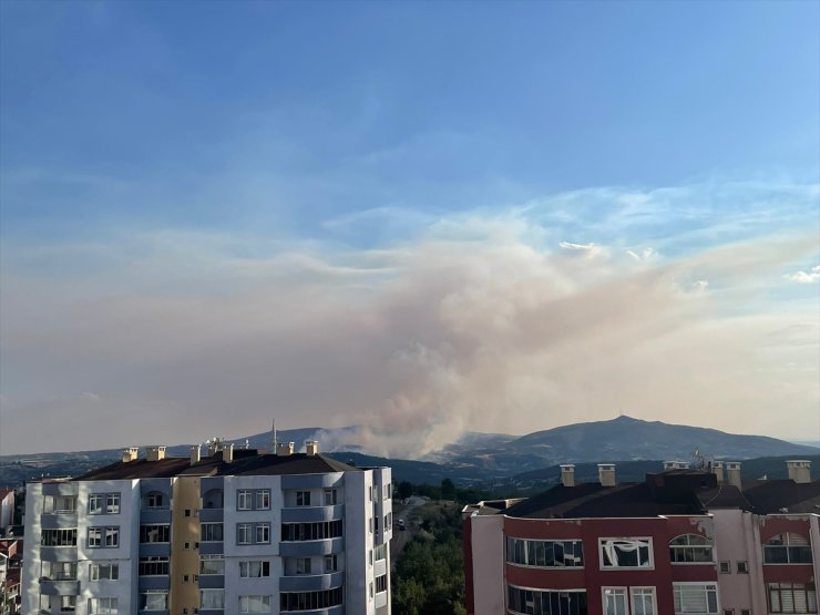 Uşak'ta orman yangınına müdahale ediliyor