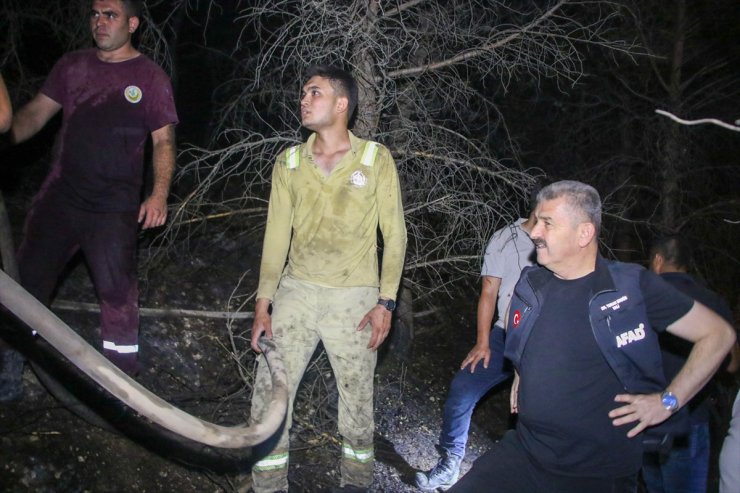 Uşak'ta ormanlık alandaki yangın kısmen kontrol altına alındı