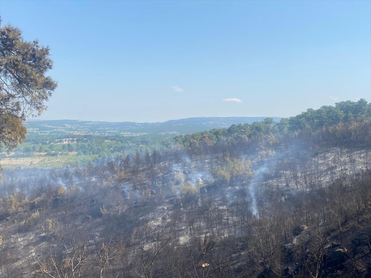 Çanakkale'nin Ayvacık ilçesinde çıkan orman yangını kontrol altına alındı