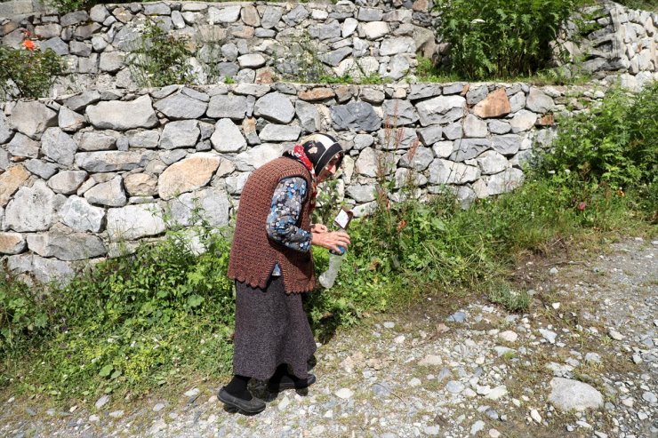 Kaçkar yaylalarında "Çöp torbası cebinde, doğa dostun elinde" seferberliği