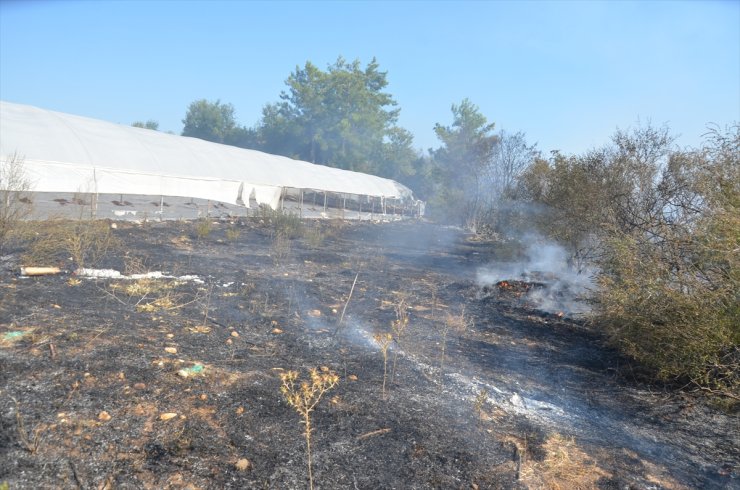 Antalya'da otluk alanda başlayan yangın ormana ve seralara sıçradı