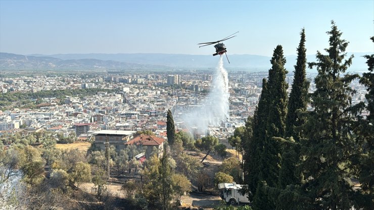 Aydın'da otluk ve zeytinlik alanda çıkan yangın kontrol altına alındı