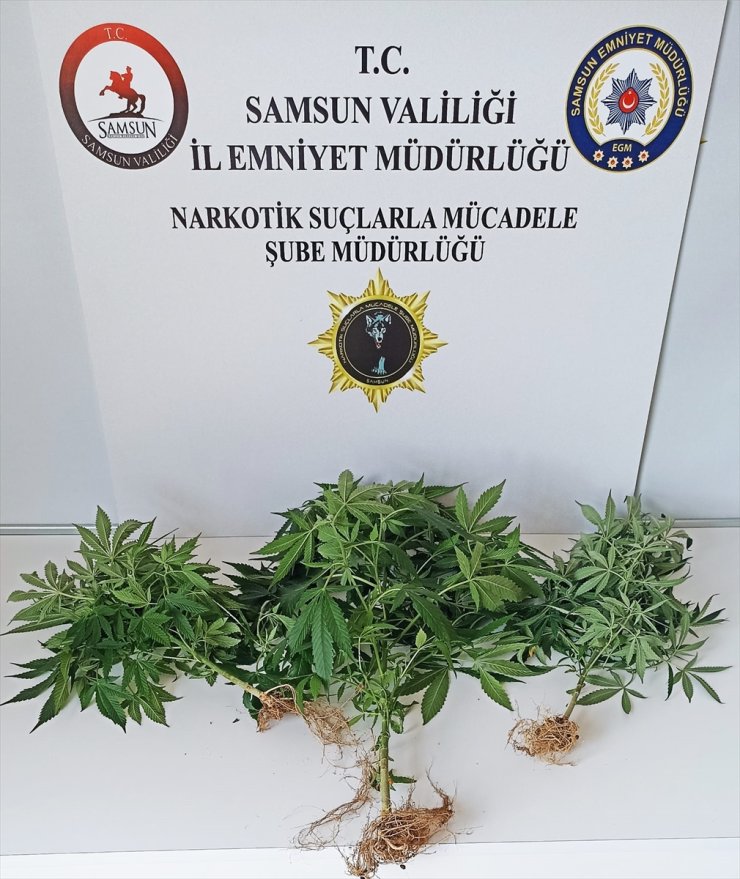 Samsun'da uyuşturucu madde denetimlerinde 19 şüpheli yakalandı