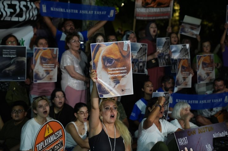 Başkentte, sahipsiz hayvanlara yönelik kanun teklifi protesto edildi