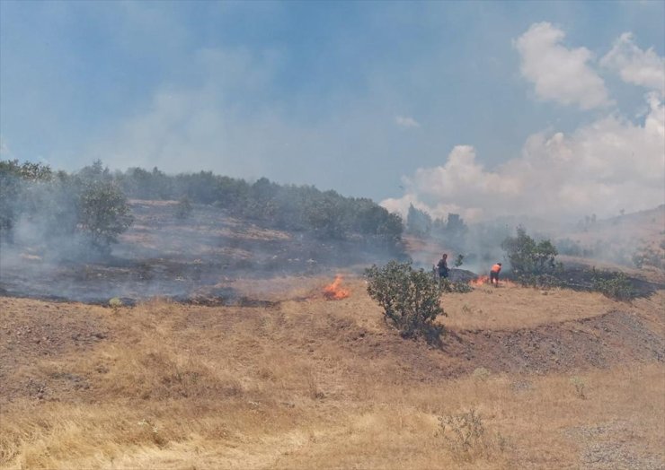 Bingöl'de ormanlık alanda çıkan yangın söndürüldü