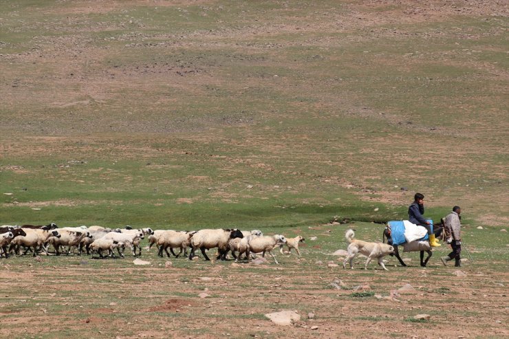 Erzurum'da 2 bin 600 rakımda göçer çocuklarına Kur'an-ı Kerim kursu veriliyor