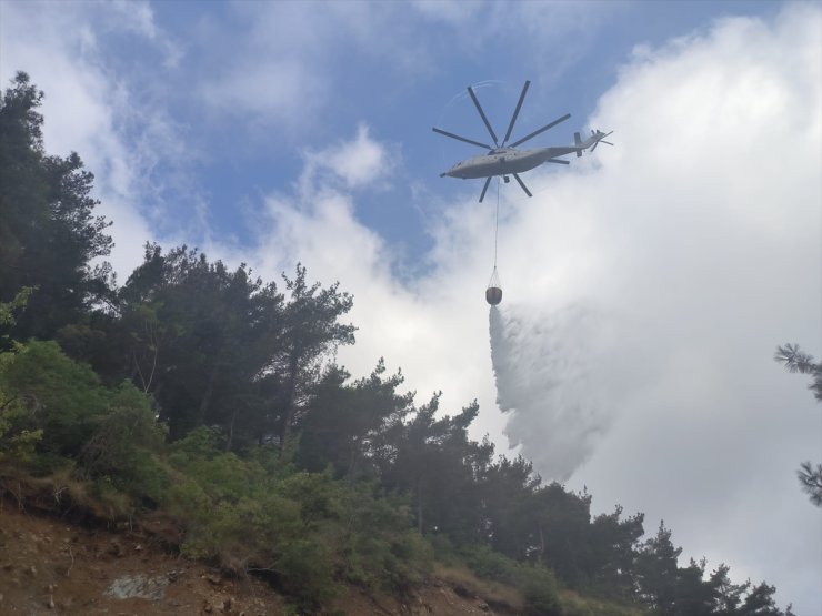 Hatay'da çıkan orman yangınına müdahale ediliyor