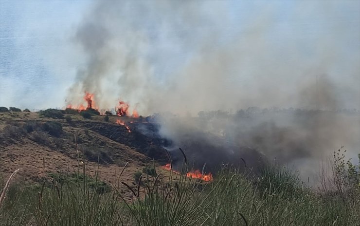 Tekirdağ'da makilik alanda çıkan yangına müdahale ediliyor