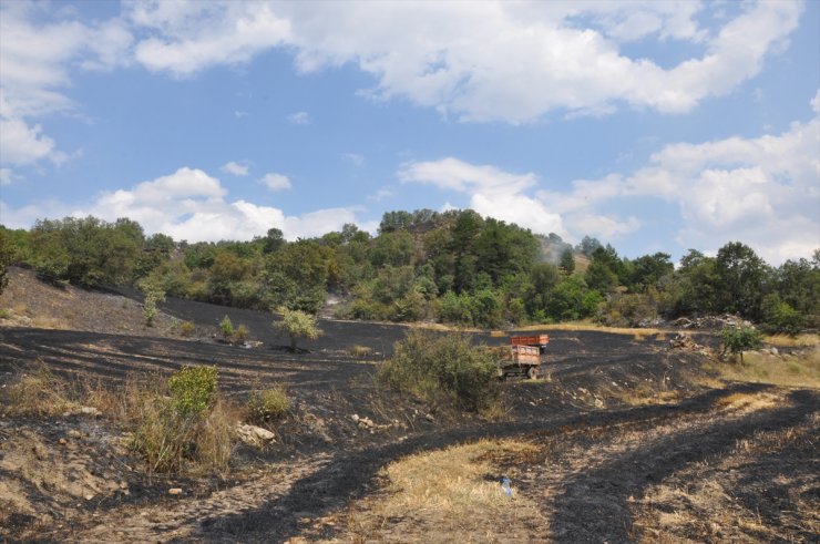 Amasya'da çıkan yangında 15 dönüm buğday ekili arazi zarar gördü