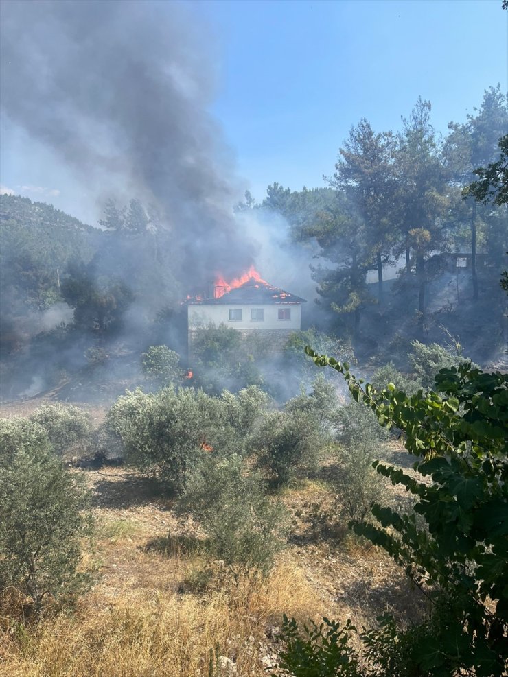 Muğla'da evde başlayan yangın ormana sıçradı