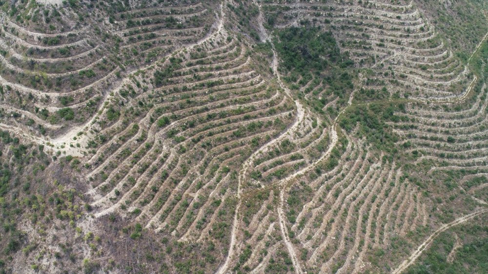 Manavgat'taki yangının üçüncü yılında, yeşillendirilen alanlar havadan görüntülendi