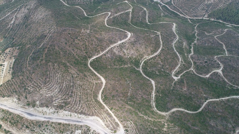 Manavgat'taki yangının üçüncü yılında, yeşillendirilen alanlar havadan görüntülendi