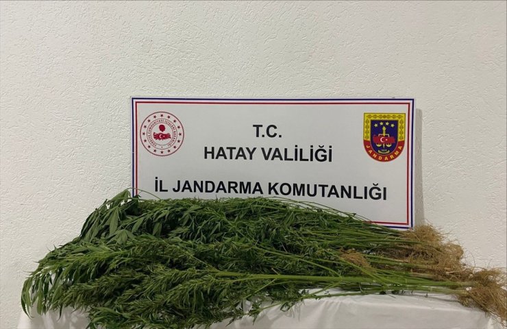 Hatay'da uyuşturucu operasyonlarında 37 şüpheli yakalandı