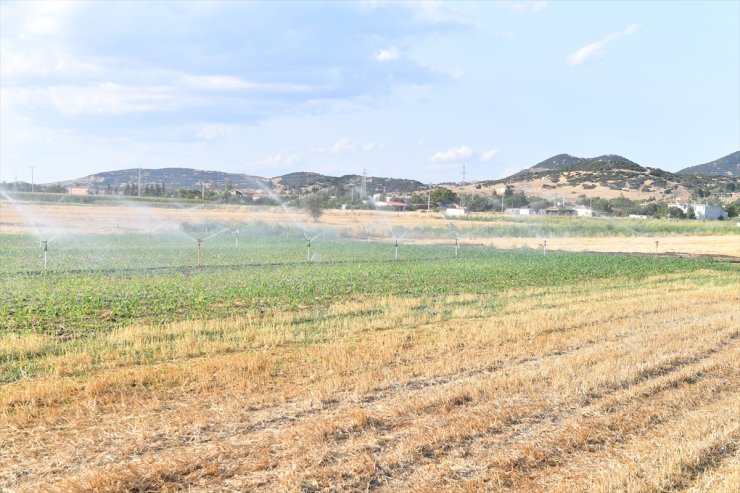 Edirne'de üretimin artırılması amacıyla 30 bin dekar arazi daha sulamaya açıldı