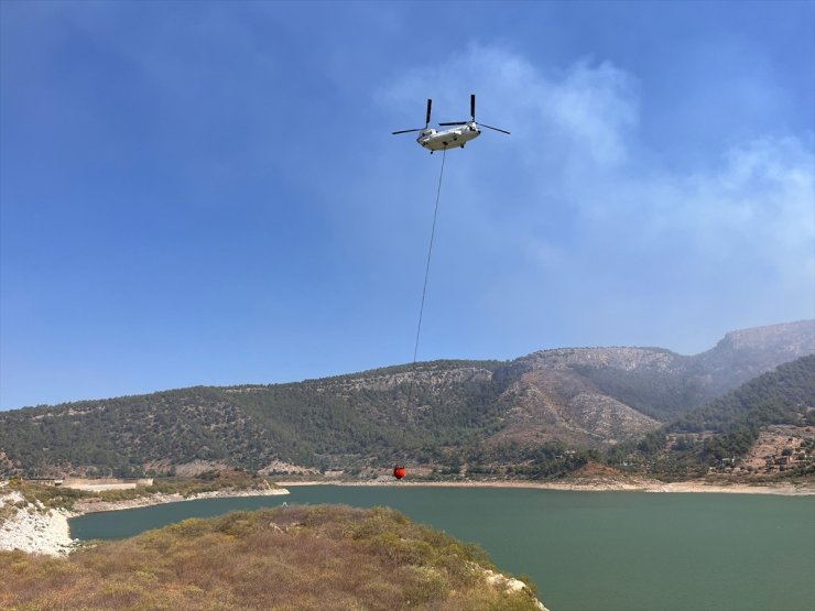 Muğla'nın Milas ilçesinde orman yangını çıktı