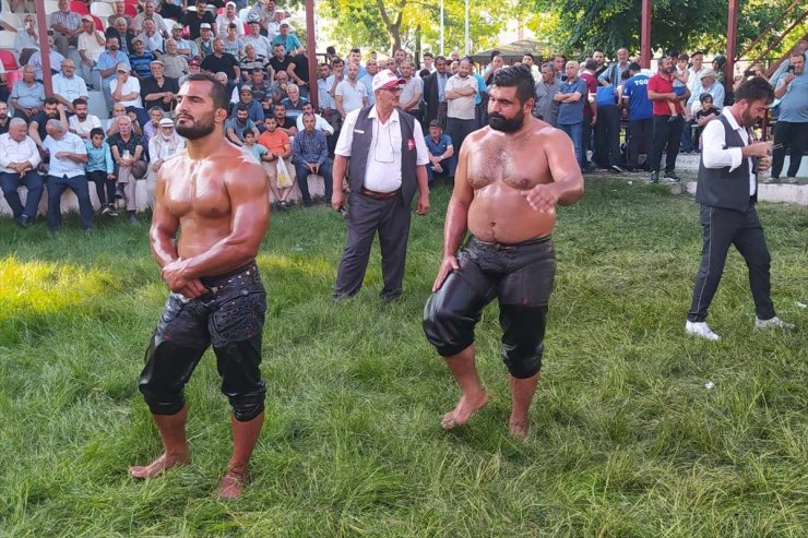 Geleneksel Dikmen Yağlı Güreşleri Sinop'ta yapıldı