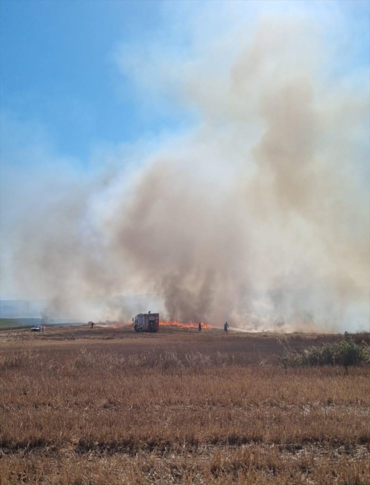 Tekirdağ'da piknik alanında çıkan ve tarım arazilerine sıçrayan yangın söndürüldü