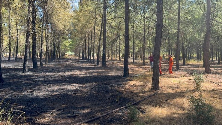 Antalya'da ormanlık alanda çıkan yangın söndürüldü