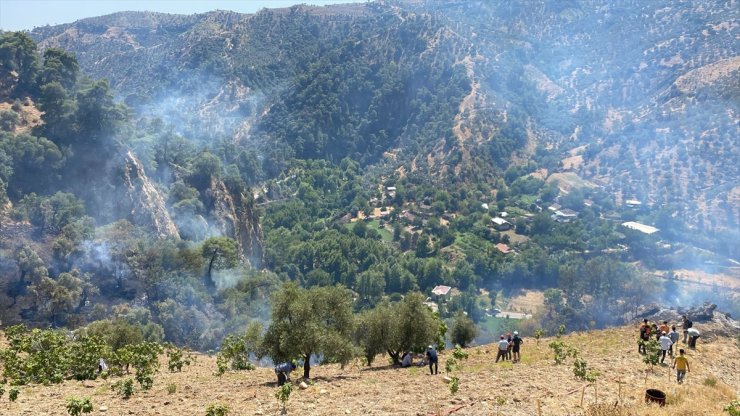 Aydın'da ormanlık ve zeytinlik alanda çıkan yangın kontrol altına alındı