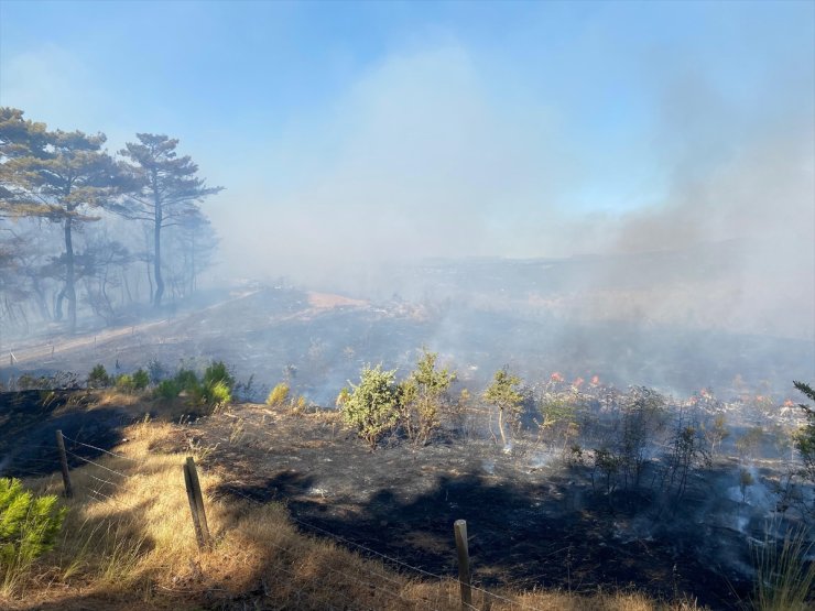 Çanakkale'nin Ayvacık ilçesinde çıkan orman yangınına müdahale ediliyor