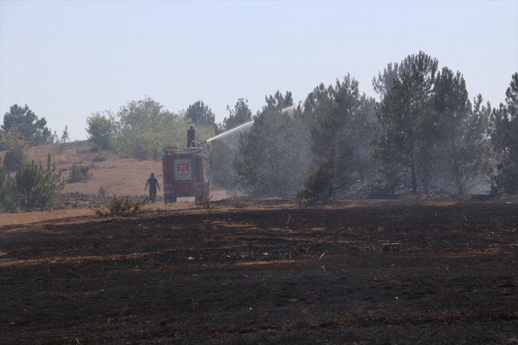 Kastamonu'da otluk alanda çıkan yangın kontrol altına alındı