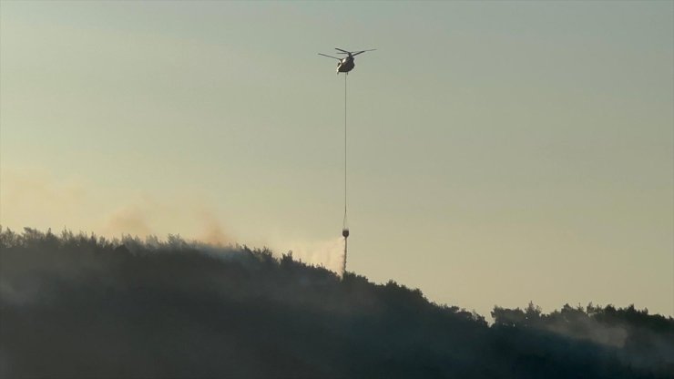 Manisa'nın Kırkağaç ilçesinde çıkan orman yangınına müdahale ediliyor