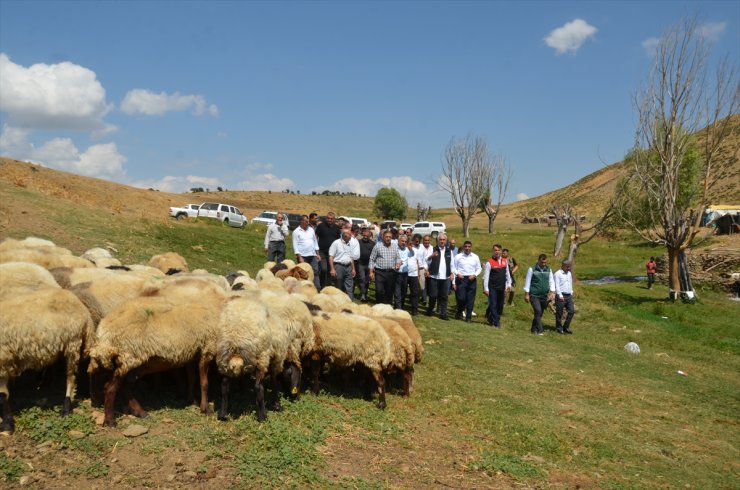 Muş Valisi Çakır, yaylada konaklayan besicileri ziyaret etti: