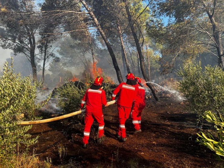 Arnavutluk'ta orman yangını çıktı